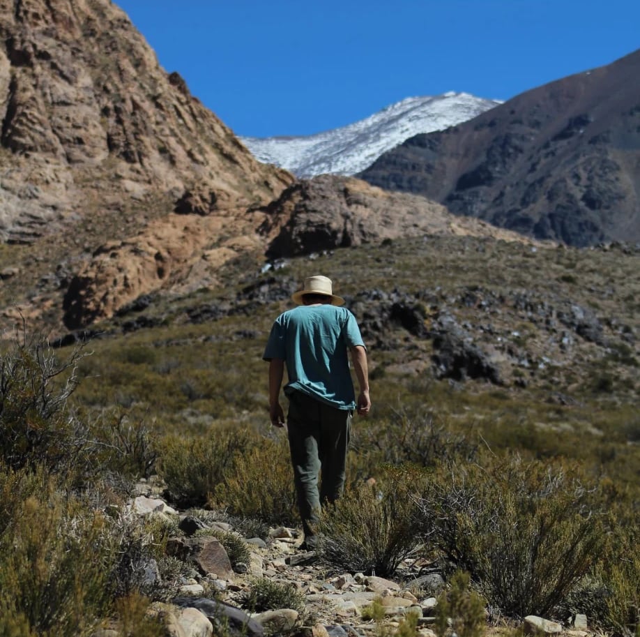 Caminata por la montaña entre arbustos, con cumbres nevadas al fondo