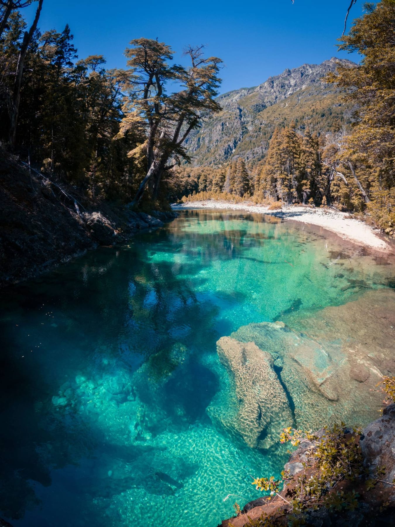 Pozón de agua turquesa transparente rodeado de bosque y montaña